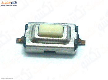 MIK 2PIN 0.5M SMD 3*6*2.5h (19)