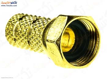 FISH RESIVER ACHARKHOR GOLD (314)